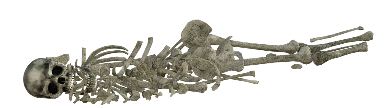 skeleton